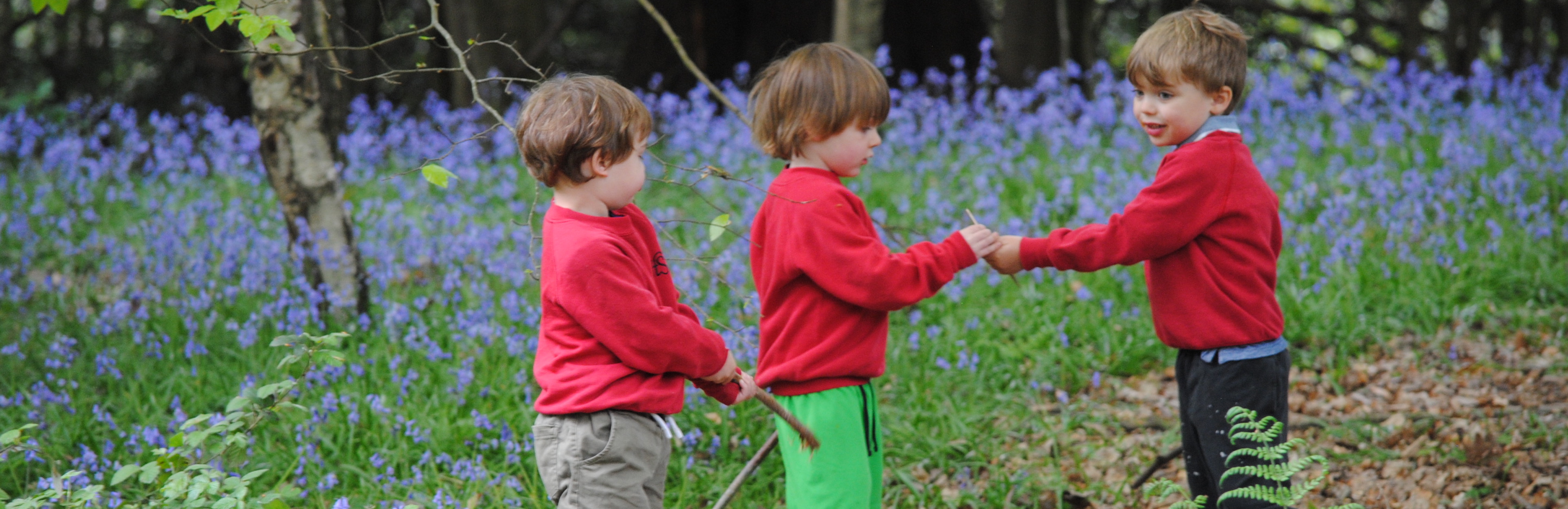 Cumnor Nursery